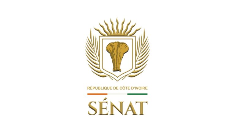 tiemoko-assale-relance-polemique-senat-ivoirien