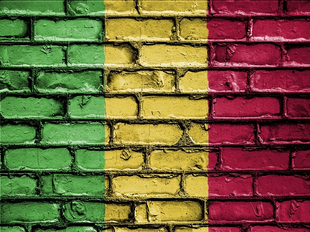 resultat-des-orientations-def-2026-mali-affectations