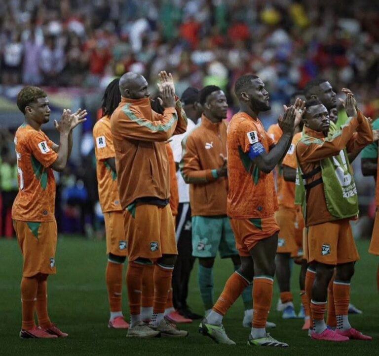 elimination-des-elephants-coupe-du-monde