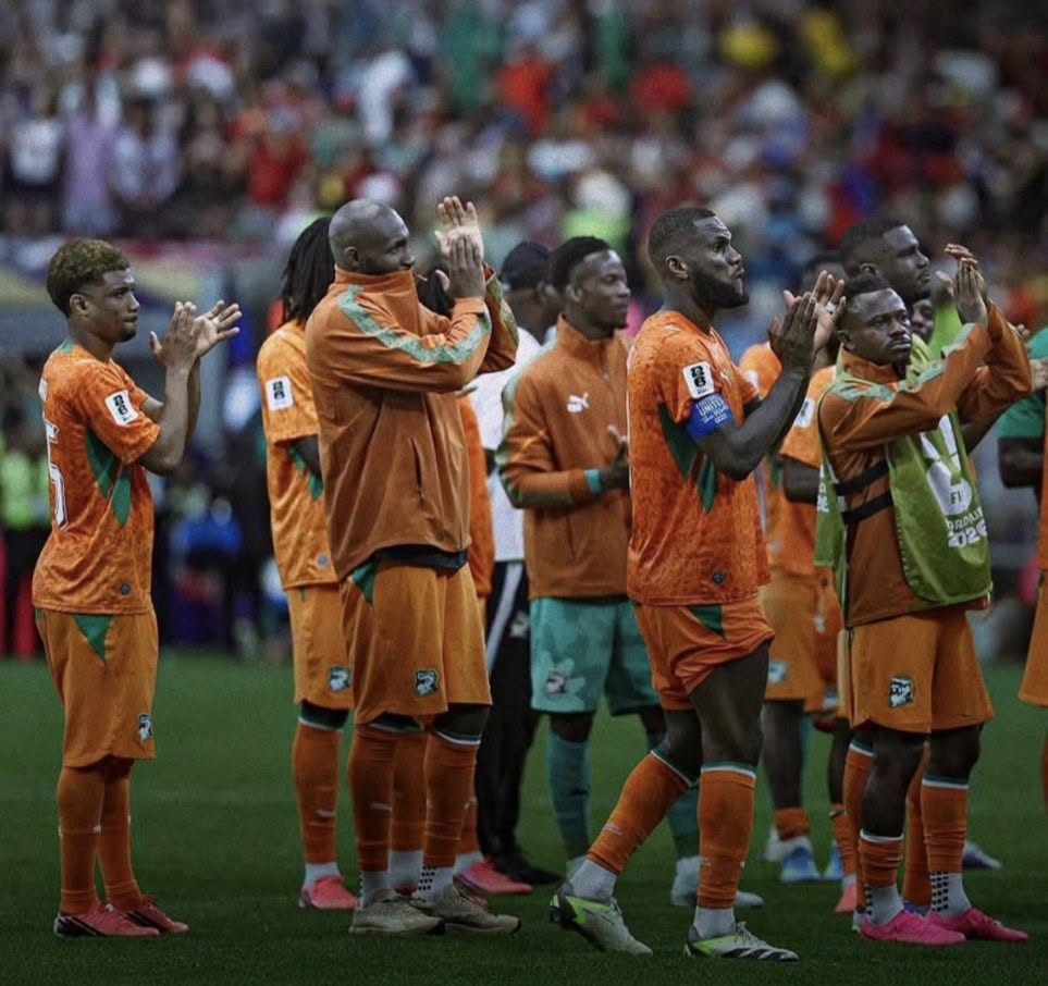 elimination-des-elephants-coupe-du-monde