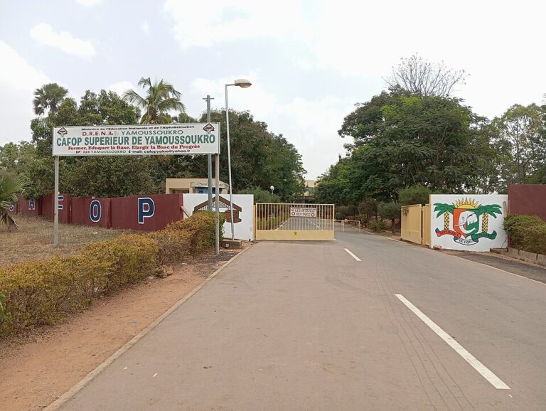 men-deco-org-resultats-cafop-1er-tour-2026