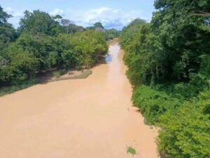 orpaillage-clandestin-CI-adjaratou-traore-chaine