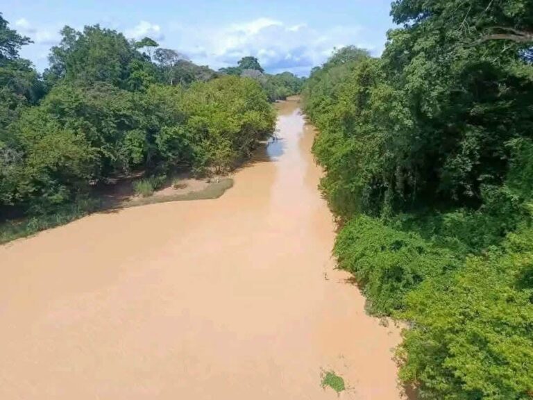 orpaillage-clandestin-CI-adjaratou-traore-chaine