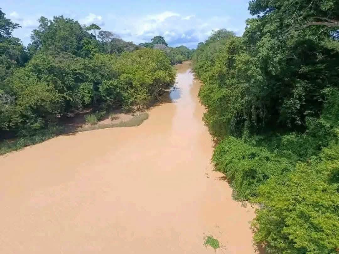 orpaillage-clandestin-CI-adjaratou-traore-chaine